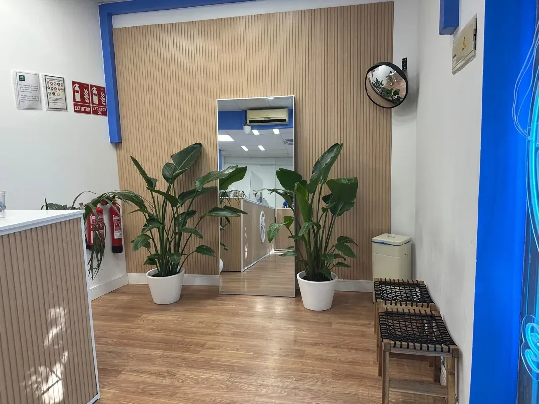 Interior de Açaí Paradise Sevilla con plantas y madera natural